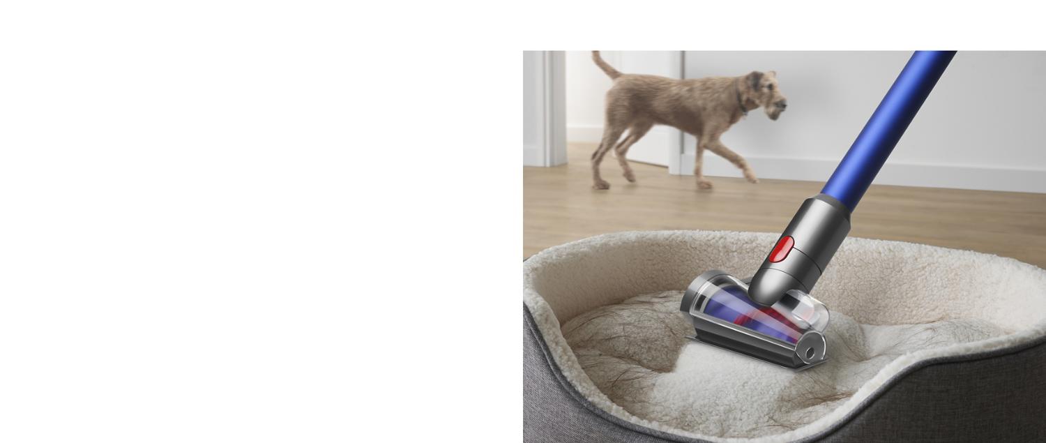 Dyson Hair tool cleaning pet hair